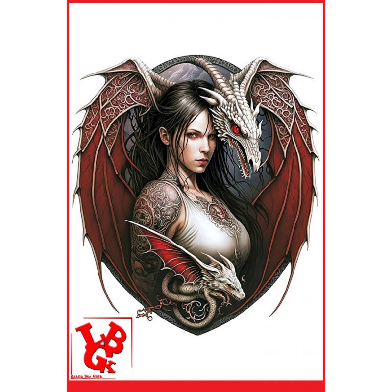 FANTASY Elfe et Dragon Rouge - Grande Plaque métal (42x38Cm) Relief embossé et découpe détourée- LIBIGEEK -3300000020124